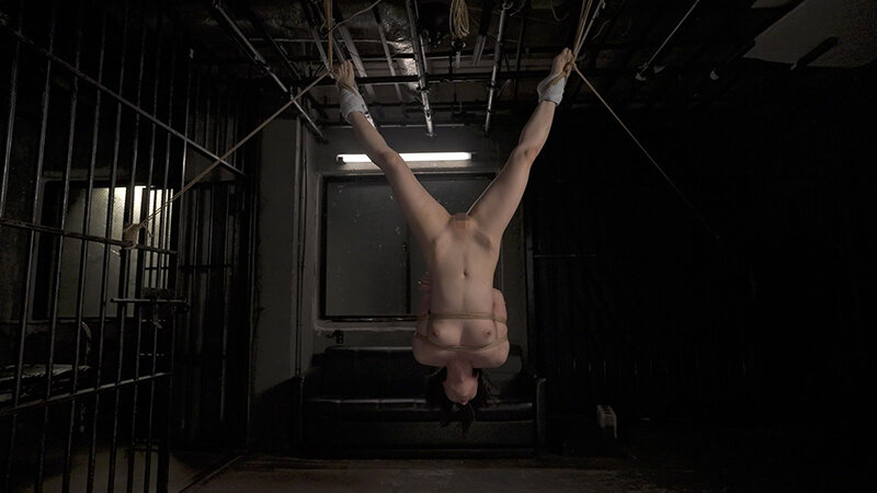 工藤あかね 被虐のマゾ女優 工藤あかね 調教記録 vol.3【タイト】